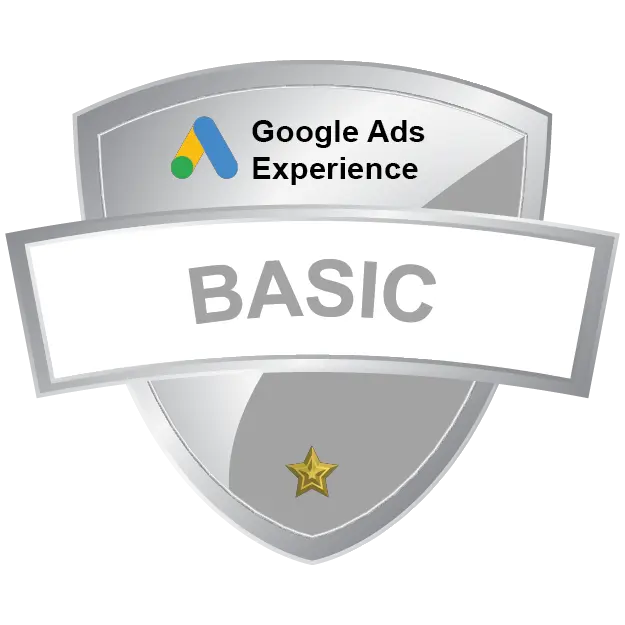 Google Ads Experience - Basic Package - Dustless Blasting® Online Store
