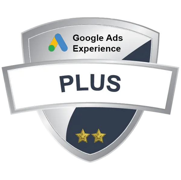 Google Ads Experience - Plus Package - Dustless Blasting® Online Store
