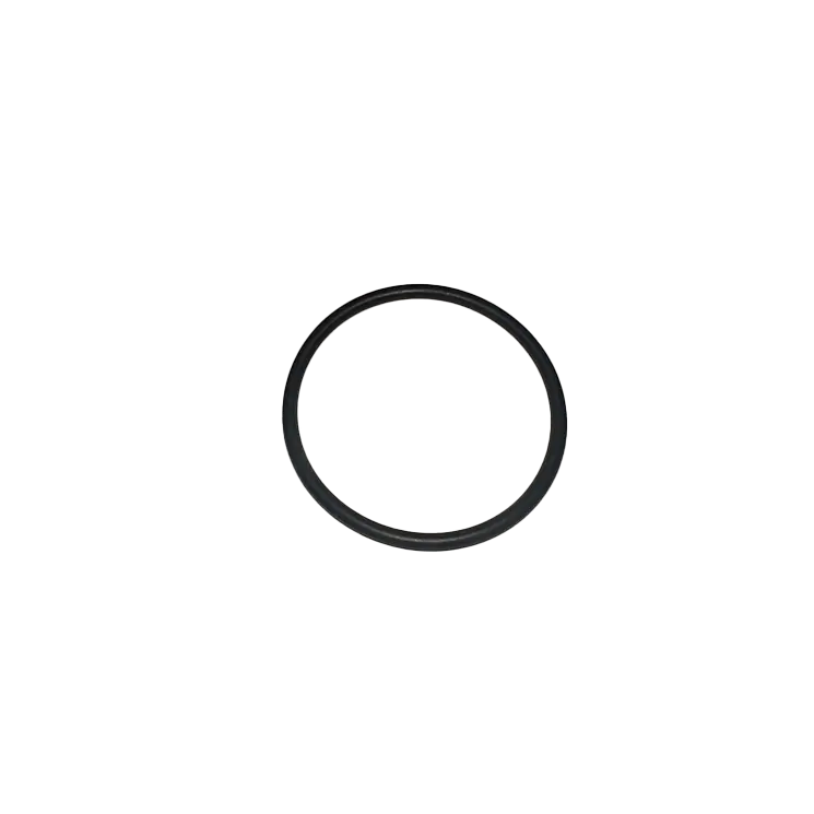 RCV-2C O ring - Dustless Blasting® Online Store